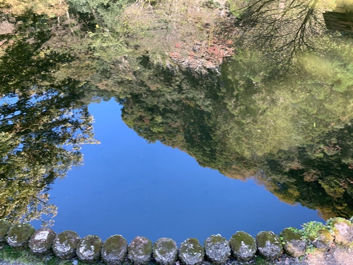A0CECB0D-A6F6-43CA-A5BB-3870E42B1D57.jpeg