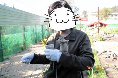 手乗りもOK