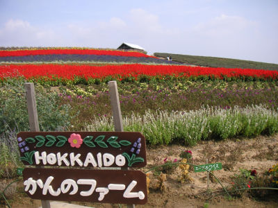 かんのファーム