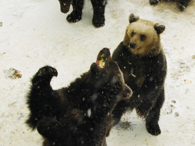 ナイスキャッチ