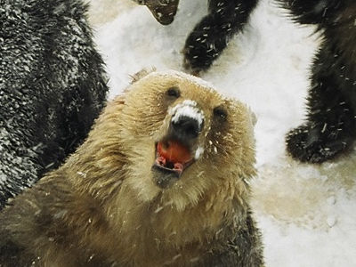 ナイスキャッチ２