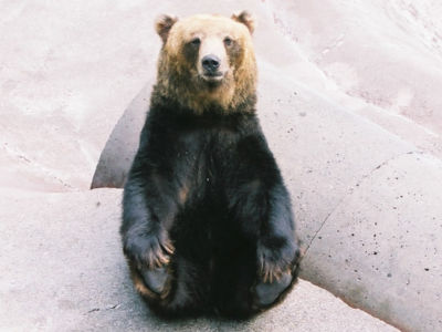 ユニークなポーズ