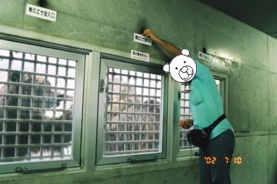 エサをまつクマ