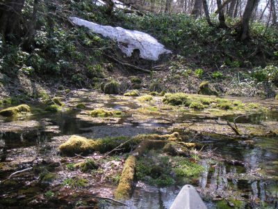 湧き水