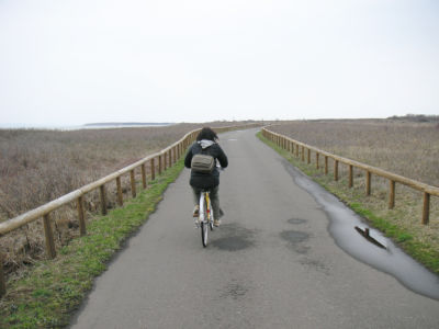 サイクリング